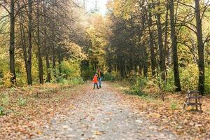 moeder en zoon wandelen in de vallen park en genieten van de mooi herfst natuur. seizoen, single ouder en kinderen concept. foto