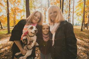 drie generaties van Dames en hond voelen pret kijken Bij camera poseren voor zelfportret afbeelding samen, grappig opgewonden kind, mam en grootmoeder hebben pret genieten weekend nemen selfie Aan apparaatje in herfst foto