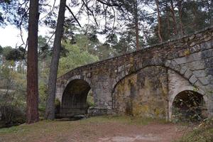 stenen brug op een pad van een bos foto