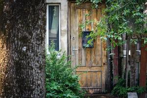 houten deur met brievenbus achter kersenboom met bladeren en onrijpe bessen