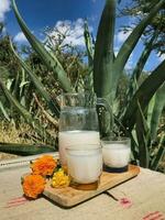 genieten de smaken van Mexico met pulqué, een verfrissend maguey drinken foto