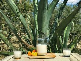 genieten de smaken van Mexico met pulqué, een verfrissend maguey drinken foto