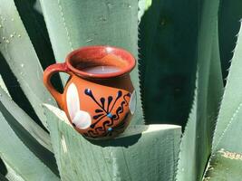 pulque en maguey de essence van Mexico rijk cultureel erfgoed foto