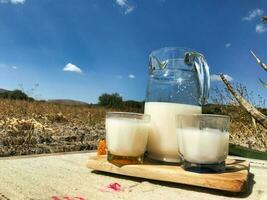 slokje de essence van Mexico met pulqué, een goddelijk maguey drinken foto