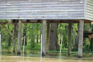 landschap langs de parel rivier- van een boot Aan de honing eiland moeras tour in slidell Louisiana foto