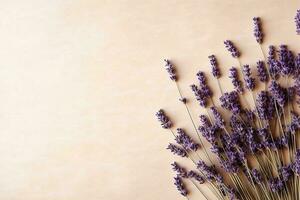 bundel van lavendel bloemen. lavendel droog Purper bloemen. minimaal vlak leggen, kopiëren ruimte achtergrond. ai gegenereerd foto