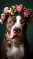 hond met bloemen portret van stier Arabisch hond met bloem kroon. ai generatief foto