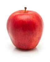 rood appel geïsoleerd. realistisch rood appel Aan een wit achtergrond. foto