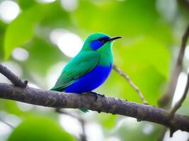 selectief focus schot van een mooi groen honingkruiper vogel neergestreken Aan een Afdeling ai gegenereerd foto