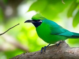 selectief focus schot van een mooi groen honingkruiper vogel neergestreken Aan een Afdeling ai gegenereerd foto