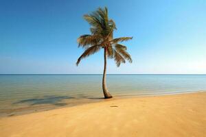 palm boom Aan een leeg strand fotografie generatief ai foto