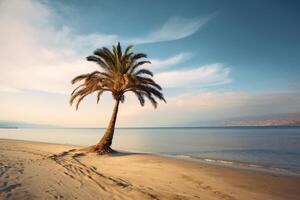 palm boom Aan een leeg strand fotografie generatief ai foto