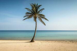 palm boom Aan een leeg strand fotografie generatief ai foto