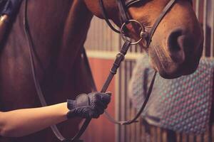 vrouw rijder met wit handschoenen Holding de teugels van een bruin paard foto