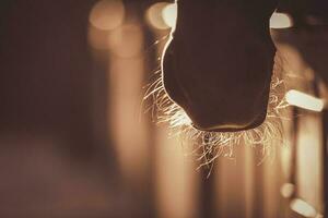 paard uiteinde van een loop in zonlicht gedetailleerd detailopname foto