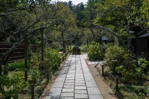 een tuin in kamakura in japan foto