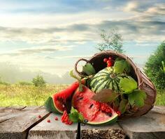 watermeloen en landschap foto