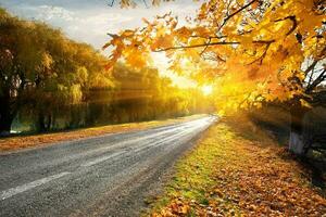 snelweg en herfst foto