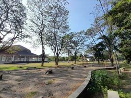 schaduwrijk bomen in een stad park in de stad van mataram, lombok eiland, Indonesië foto