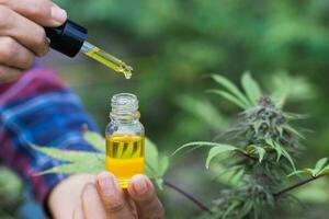 cbd hennepolie, arts die een fles hennepolie vasthoudt, medische marihuanaproducten waaronder cannabisblad, cbd en hasjolie, alternatieve geneeskunde foto