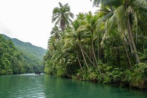 de riviercruise op bohol island op de filipijnen foto