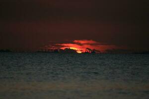 prachtige zonsondergang op het strand foto