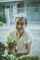 geluk gezicht van Aziatisch senior Mens met sappig kamerplant in hand- foto