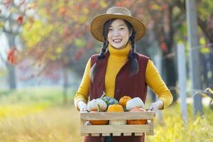 gelukkig Aziatisch boer meisje draag- produceren oogst met van eigen bodem organische stoffen appel, squash en pompoen met vallen kleur van esdoorn- boom gedurende de herfst seizoen foto