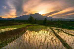 mooi ochtend- visie Indonesië panorama landschap rijstveld velden met schoonheid kleur en lucht natuurlijk licht foto