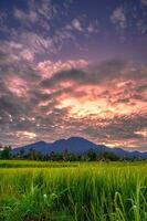 mooi ochtend- visie Indonesië panorama landschap rijstveld velden met schoonheid kleur en lucht natuurlijk licht foto