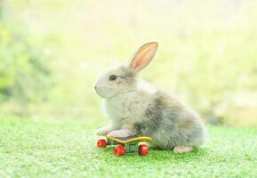 aanbiddelijk konijn met skateboard, een weinig konijn spelen vleet. foto