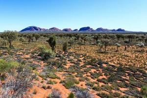 kata tjuta nationaal park van een afstand noordelijk gebied australië foto