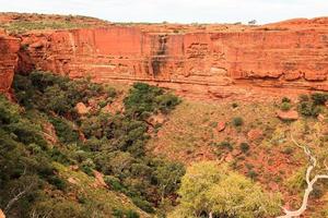 kings canyon noordelijk gebied australië foto