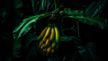 rijp banaan Aan tak, vers en biologisch gegenereerd door ai foto