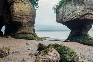 baai van fundy foto