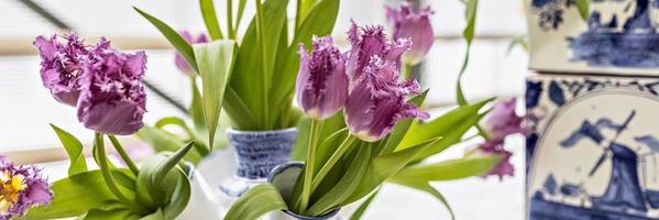 paarse tulpen in een vaas in de tuin. voorjaar. bloom.banner foto