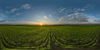 bolvormig 360 hdri panorama tussen landbouw veld- met wolken en zon Aan avond blauw lucht voordat zonsondergang in equirectangular naadloos projectie, net zo lucht vervanging in dar panorama's, spel ontwikkeling foto