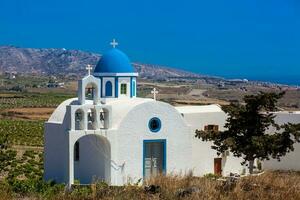 wijngaarden en de heilig drie-eenheid kerk gelegen in akrotiri dorp Aan de Santorini eiland foto