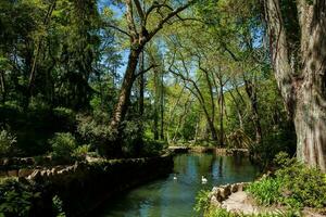 tuinen van Pena park Bij de gemeente van sintra foto