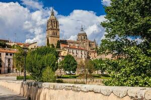 visie van de oud stad en de kathedraal van Salamanca gezien van de historisch Romeins brug ook bekend net zo puente burgemeester del tornen foto