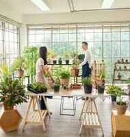 tuinman jong Aziatisch Mens vrouw twee persoon familie staan glimlachen kijk en helpen organiseren klein boom. binnen kamer boom blad groen in kalmte werk winkel huis fabriek . hobby baan gelukkig en zorg concept foto