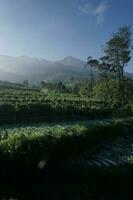 Indonesië Super goed natuur met geweldig cultuur foto