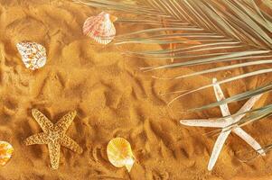 achtergrond van zeesterren en schelpen Aan de gouden strand foto