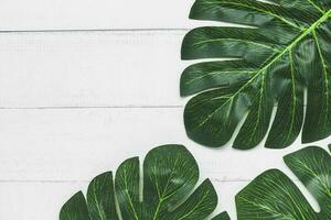 groen palm blad Aan wit tafel achtergrond voor natuur decoratie concept foto