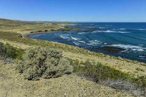 kust- zeegezicht, Patagonië, Argentinië foto