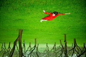 vrouw in rood jurk houdende Aan de gras foto