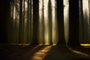 een Woud gevulde met veel van hoog bomen. ai gegenereerd foto