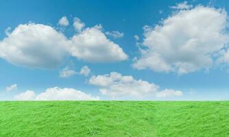 groen gras weide en blauw lucht achtergrond. natuurlijk veld- landschap foto