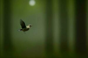 een vogel dat is vliegend in de lucht. ai gegenereerd foto