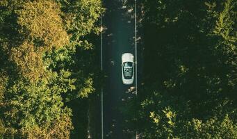 converteerbaar auto zomer weg reis langs toneel- bos- foto